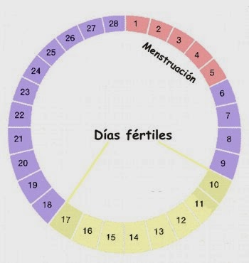 Irregular dias eres fertiles si como saber los